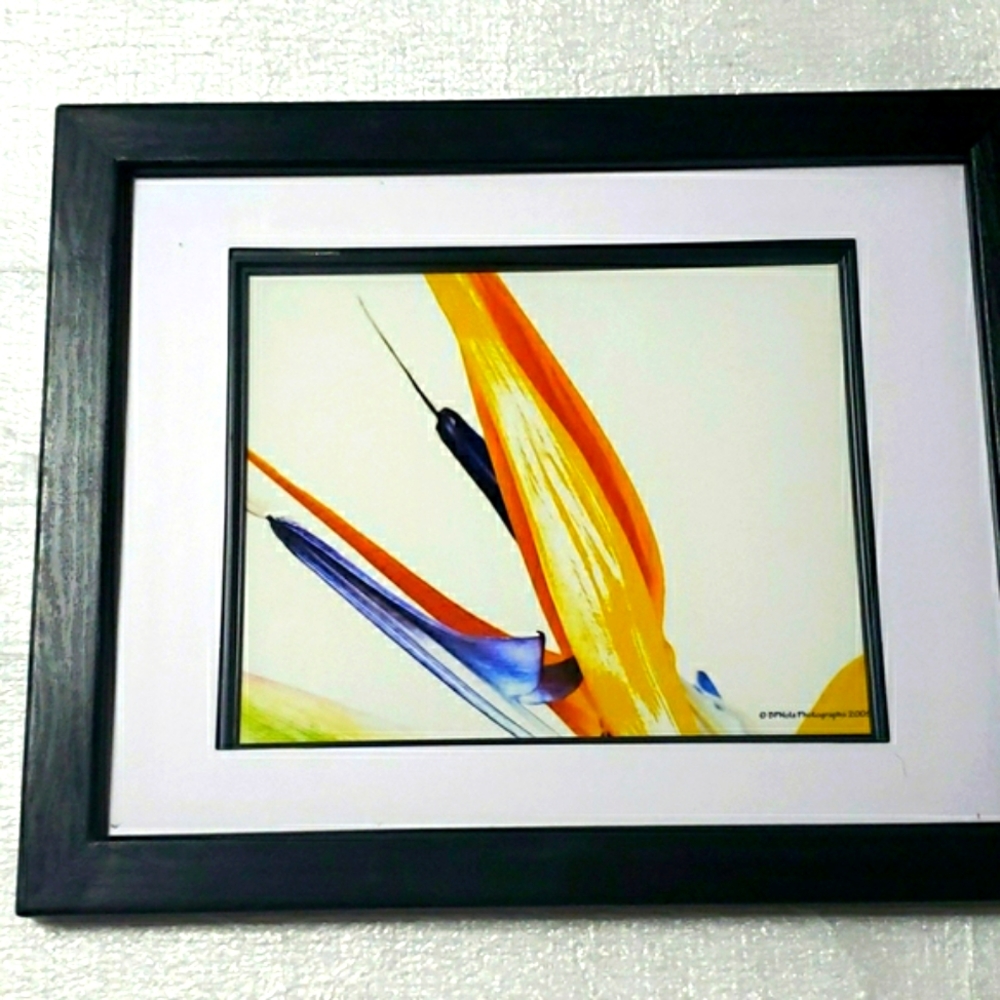 Flower Original Photo Framed and Matted